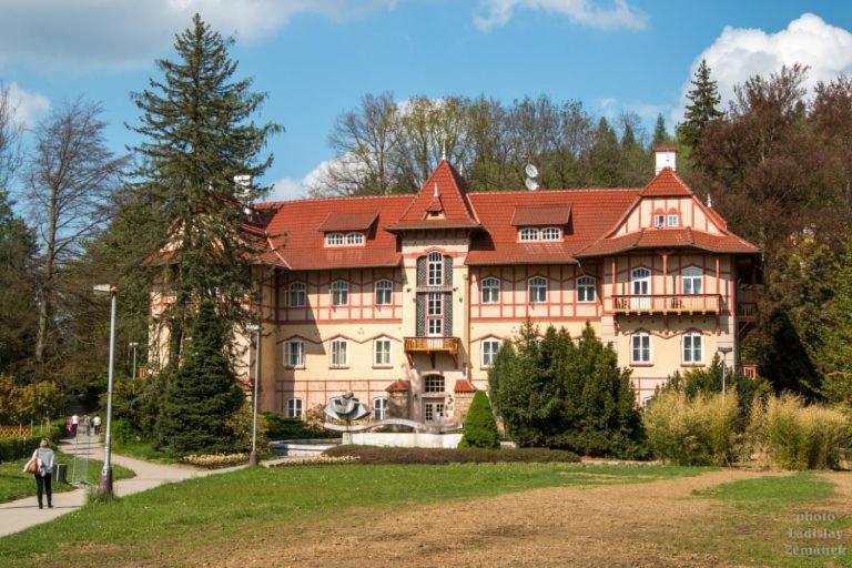 Апартаменты Kapsle Лугачовице Экстерьер фото